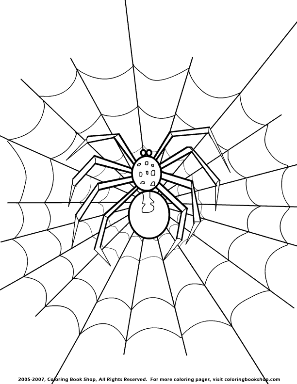 spider, coloring page, printable