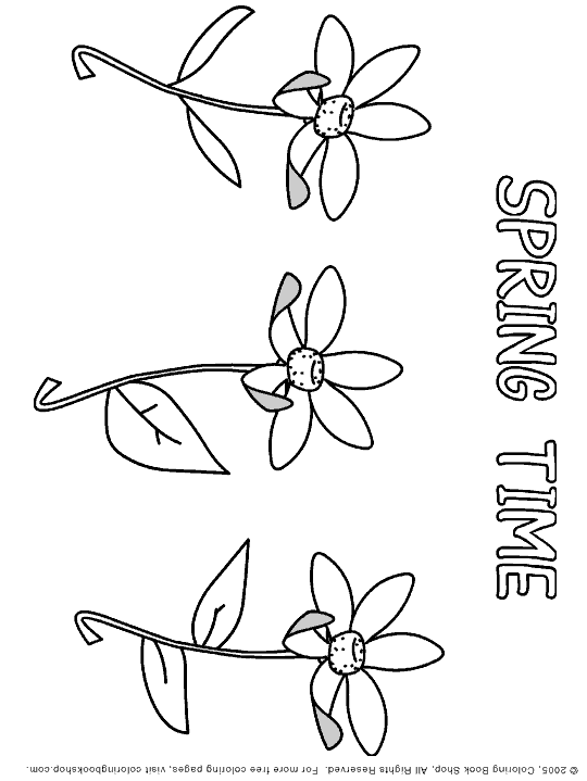 Springtime Printable Coloring Pages Placecards Placemats