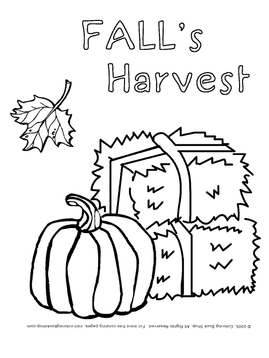 pumpkin , hay stacks, fall harvest, coloring page
