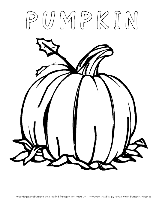 pumpkin coloring page, pumpkin with leaf printable
