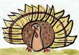 wild turkey coloring page for thanksgiving page header